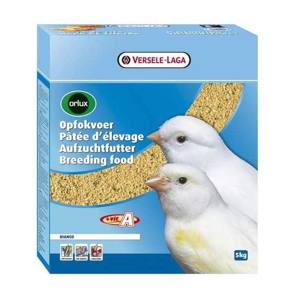 Orlux Pâtée aux Oeufs Sèche – Pâtée d’Elevage Bianco 5kg – Oiseaux – Aliment d’élevage pour canaris, oiseaux exotiques et oiseaux indigènes in Orlux  Pâtée aux Oeufs Sèche – Pâtée d’Elevage Bianco 5kg