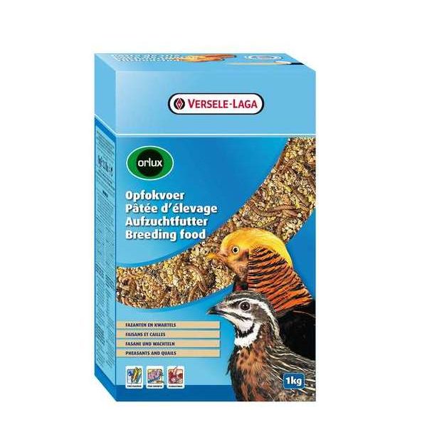 Orlux Pâtée aux Oeufs Sèche – Pâtée d’Elevage Faisans & Cailles 1 kg – Oiseaux – Aliment d’élevage pour gallinacés in Orlux  Pâtée aux Oeufs Sèche – Pâtée d’Elevage Faisans & Cailles 1 kg